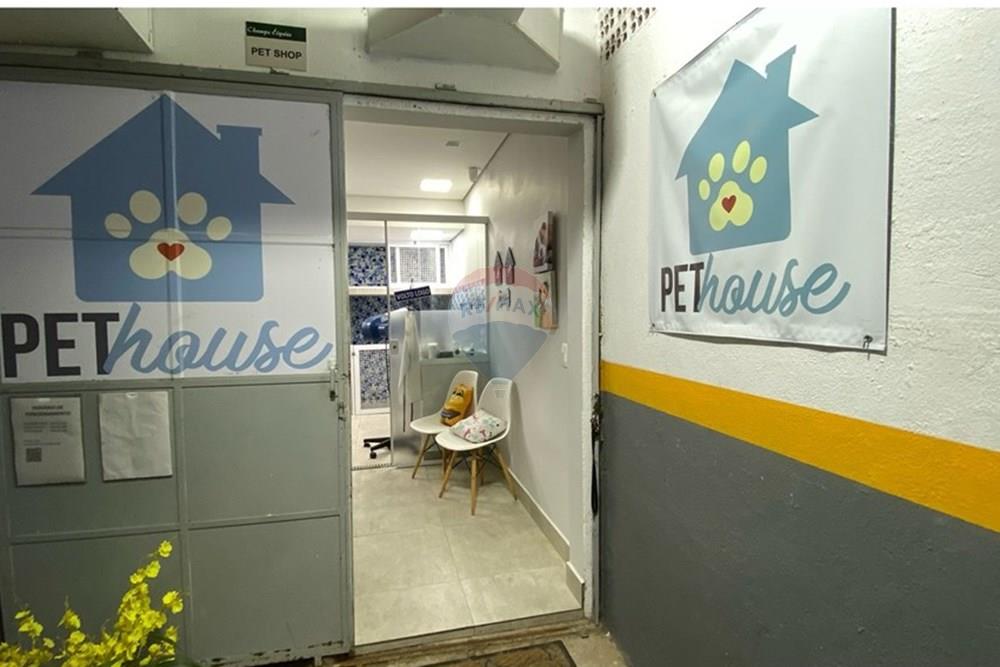 Apartamento - Alugar - São Paulo , São Paulo - WhatsApp Image 2025-10-13 at 15.06.28.jpeg - 630821095-4