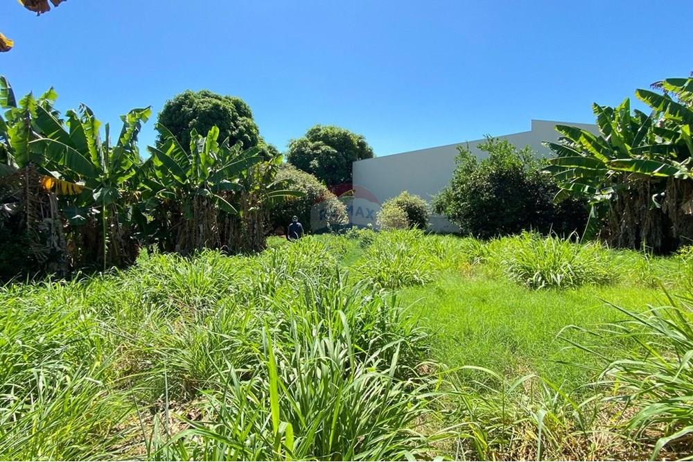 Terreno - Venda - Tupã , São Paulo - IMG-20250321-WA0048.jpg - 630151076-10