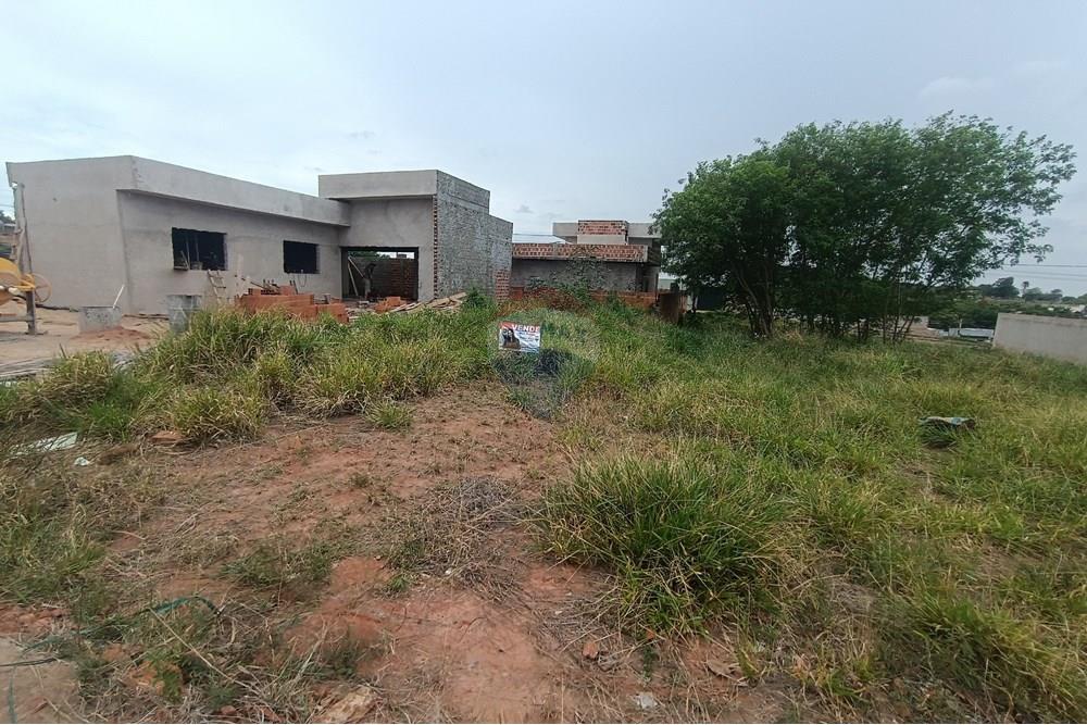 Terreno - Venda - Presidente Prudente , São Paulo - IMG_20251028_120827.jpg - 630861066-13