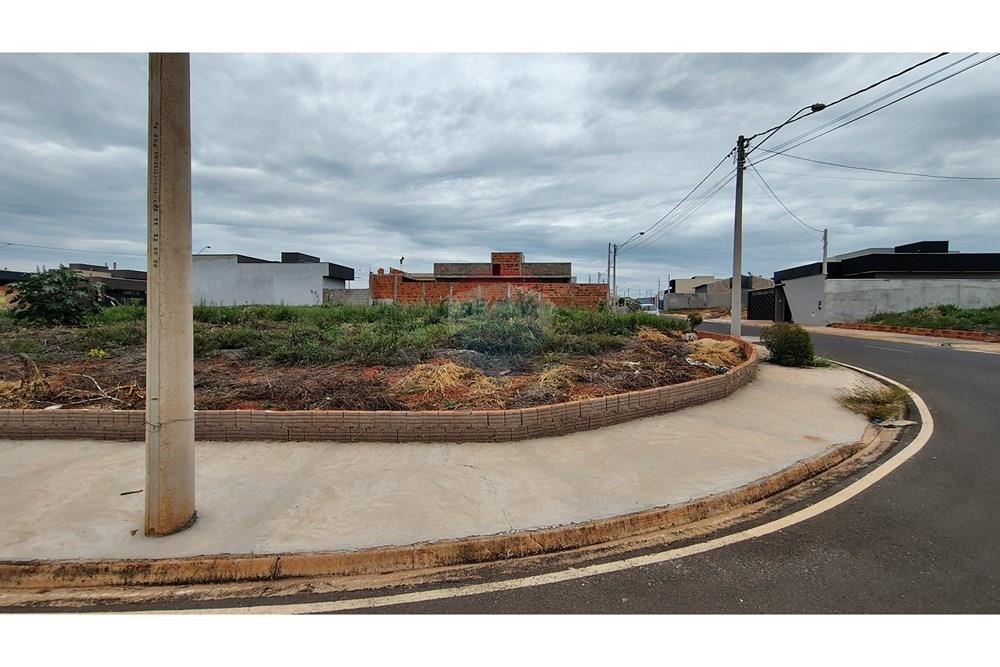Terreno - Venda - Mirassol , São Paulo - IMG_20251202_115549048_HDR.jpg - 630401039-13