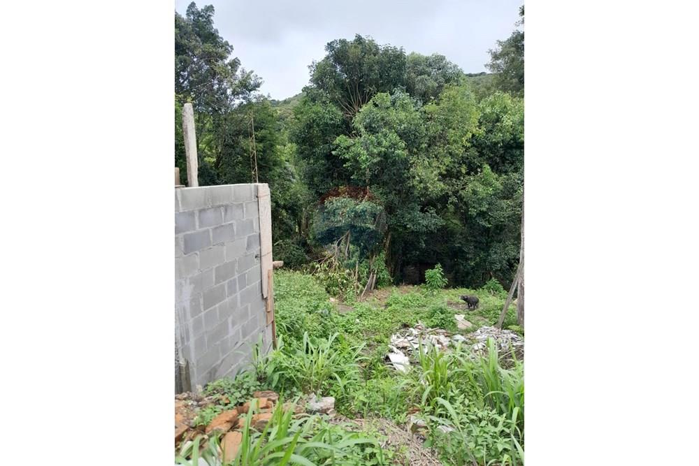 Terreno - Venda - Apiaí , São Paulo - WhatsApp Image 2025-12-19 at 09.42.30.jpeg - 630241006-19