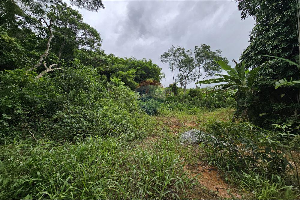 Residential - भूमि - Nova Friburgo , रिओ डे जैनेरो - BR - 41 - 630551016-143