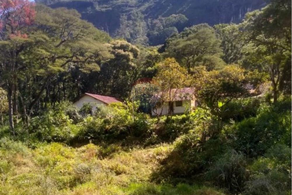 Fazenda - Venda - Teresópolis , Rio de Janeiro - IMG-20250605-WA0017.jpg - 630191078-25