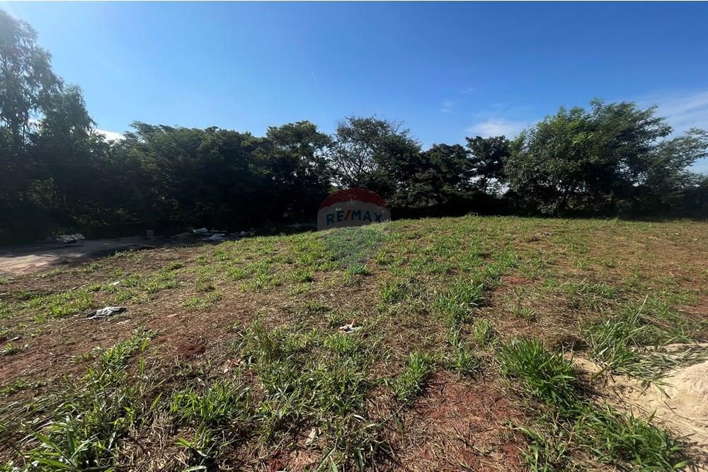 Terreno - Venda - São José do Rio Preto , São Paulo - IMG_7251.JPG - 630401028-47