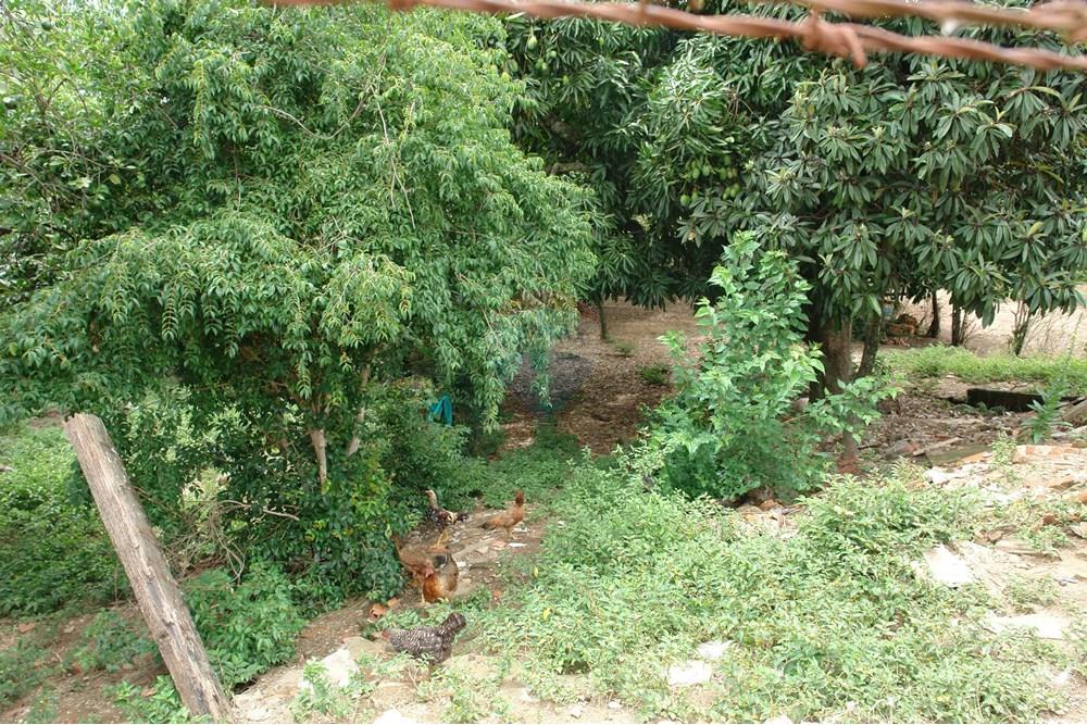 Terreno - Venda - Sorocaba , São Paulo - DSC00445.JPG - 631701011-10