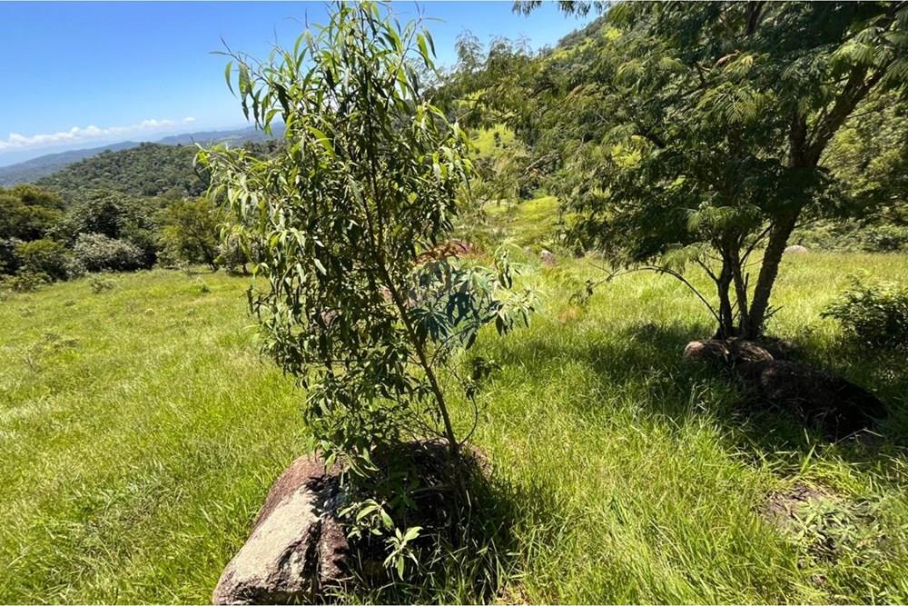 Terreno - Venda - Mogi das Cruzes , São Paulo - WhatsApp Image 2026-02-24 at 13.22.14.jpeg - 631251058-2