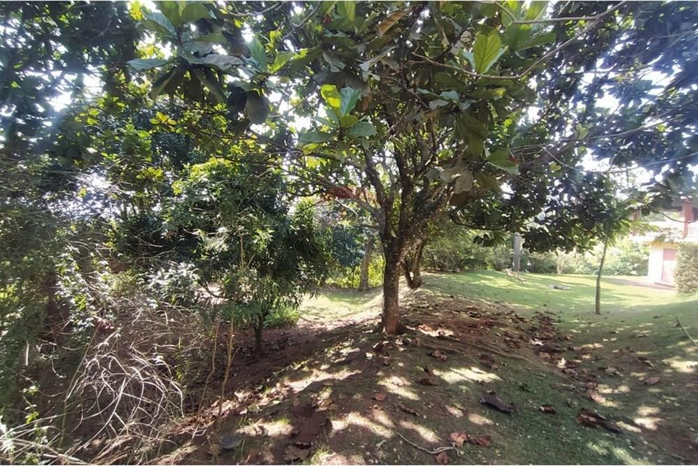 Chácara / Sítio / Fazenda - Venda - São Roque , São Paulo - WhatsApp Image 2025-12-04 at 22.57.25 (14).jpeg - 631601019-30