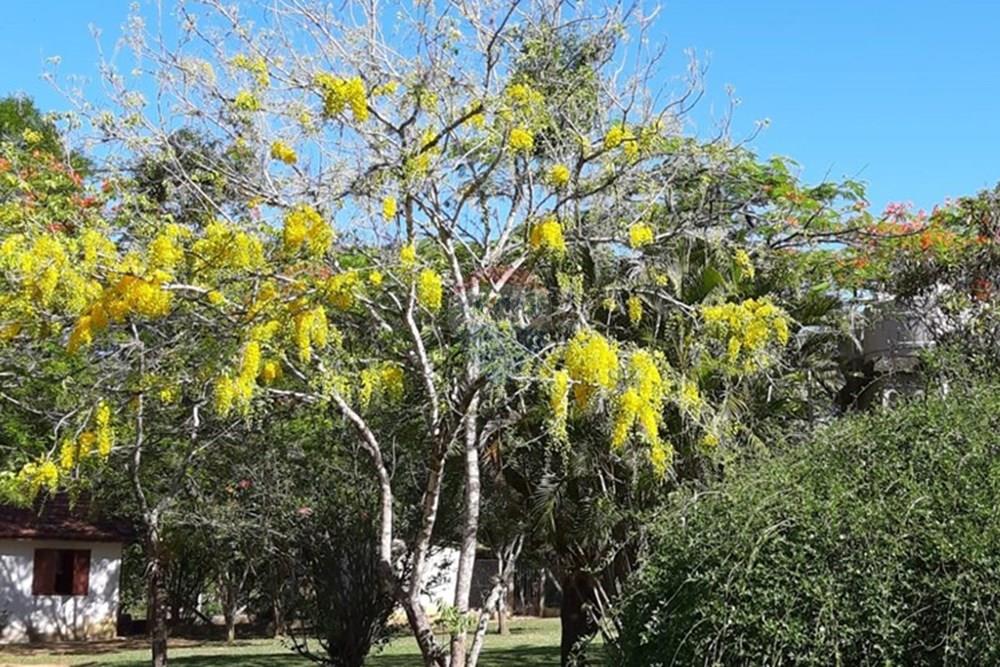 Casa de Campo - Venda - Araçoiaba da Serra , São Paulo - WhatsApp Image 2025-10-11 at 14.21.31.jpeg - 630591061-147