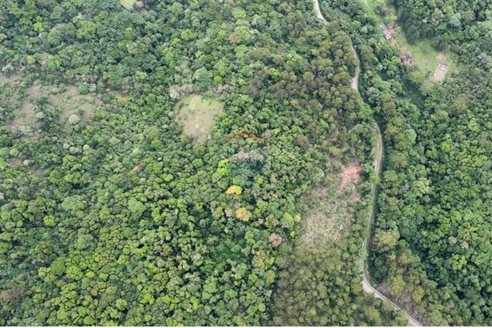 Terreno - Venda - Mairiporã , São Paulo - dji_fly_20251114_111430_824_1763130142927_photo_optimized.jpg - 631361005-166