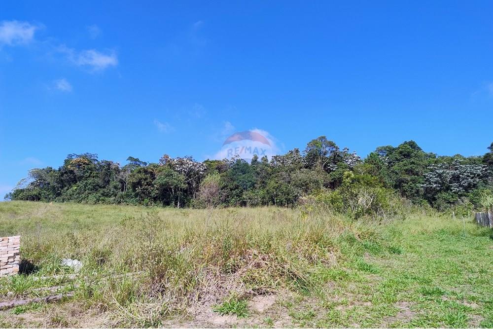 Terreno - Venda - Mogi das Cruzes , São Paulo - IMG_20250505_095617686_AE.jpg - 631251047-137