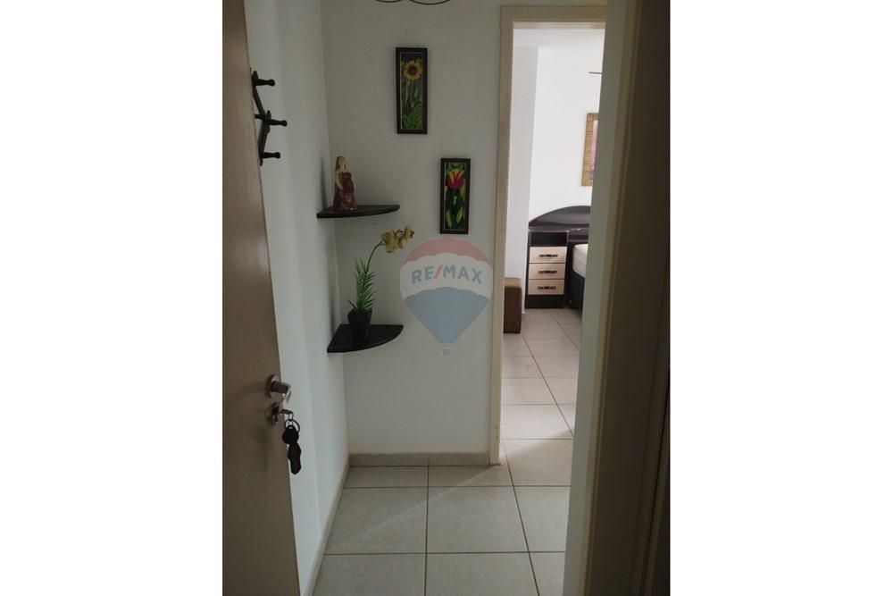 Apartamento - Alugar - Araçatuba , São Paulo - 2d15d24c-8a86-49be-a6bf-036bea55dbcc.jpg - 630541058-51