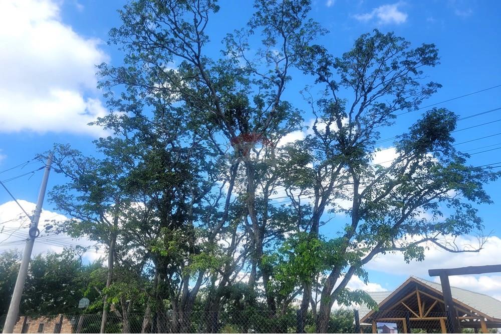 Ponto Comercial/ Loja - Alugar - Araçoiaba da Serra , São Paulo - 20250501_120715.jpg - 630601294-4