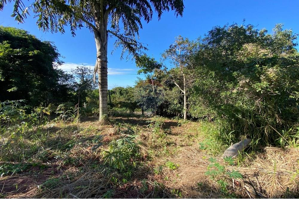 Terreno - Venda - Armação dos Búzios , Rio de Janeiro - WhatsApp Image 2025-07-08 at 11.28.31.jpeg - 630391072-18