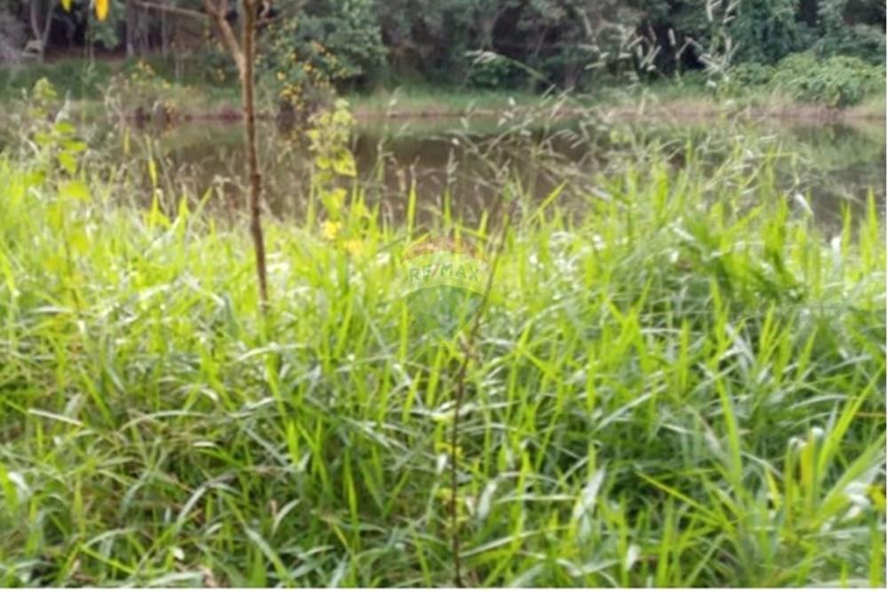 Terreno - Venda - Mairiporã , São Paulo - WhatsApp Image 2025-08-22 at 23.56.09.jpeg - 631361025-40