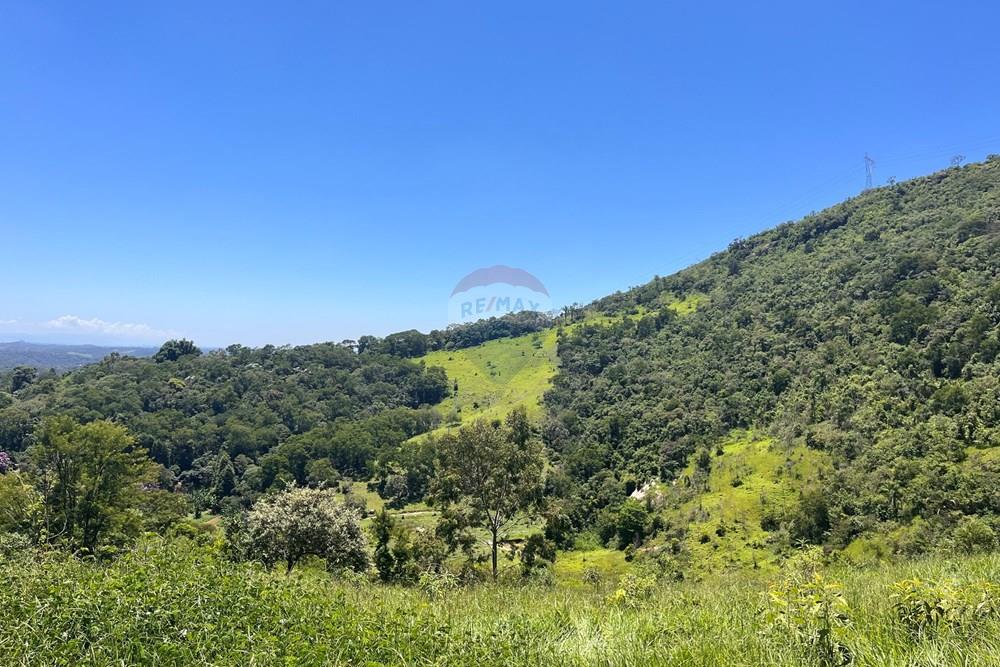 Terreno - Venda - Mogi das Cruzes , São Paulo - IMG_4981.jpeg - 631251058-2