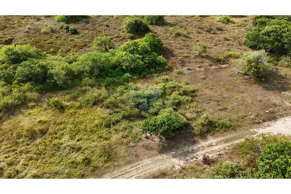 Terreno - Venda - Armação dos Búzios , Rio de Janeiro - dji_fly_20250310_154354_0015_1742265331302_photo.JPG - 630391033-19
