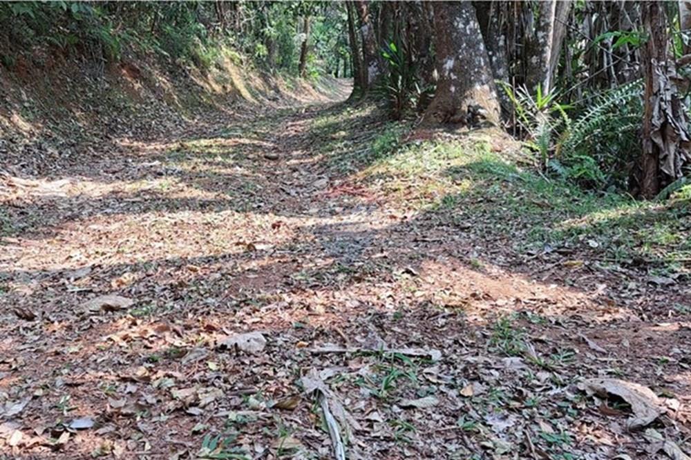 Chácara / Sítio / Fazenda - Venda - Araçariguama , São Paulo - IMG-20240913-WA0044.jpg - 631601010-7