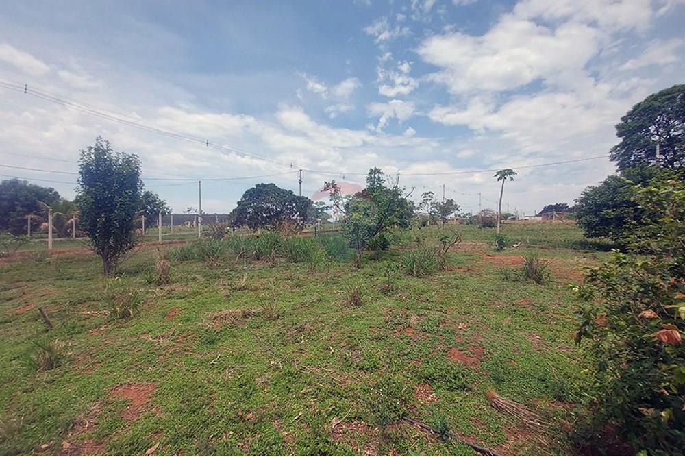 Chácara / Sítio / Fazenda - Venda - Taciba , São Paulo - Chacara Taciba (13).jpg - 630861066-19