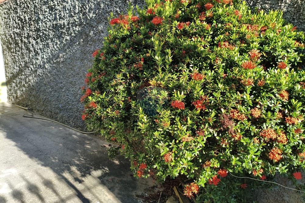 Casa - Venda - Rio Bonito , Rio de Janeiro - IMG-20260325-WA0086.jpg - 631351029-3