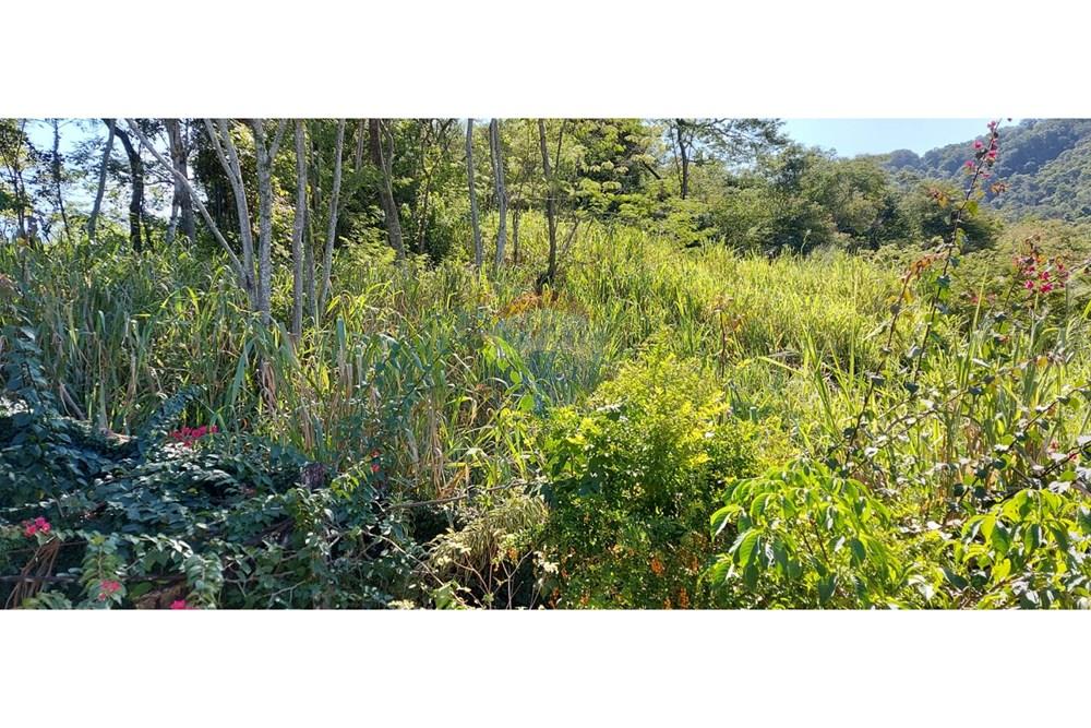 Terreno - Venda - Niterói , Rio de Janeiro - e3e4cd1e-ac47-48a4-ba87-3d36cf86047d.jpeg - 630121040-35