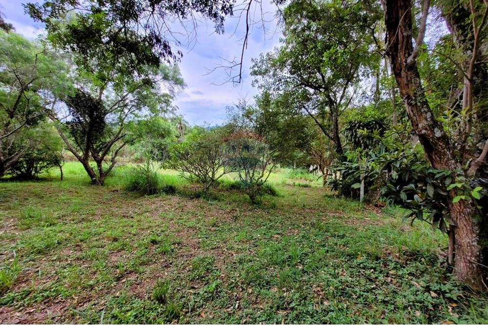 Chácara / Sítio / Fazenda - Venda - Ibiúna , São Paulo - 20.jpeg - 631331004-35