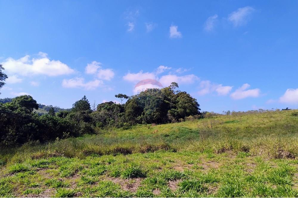 Terreno - Venda - Mogi das Cruzes , São Paulo - IMG_20250505_095720482_AE.jpg - 631251047-137