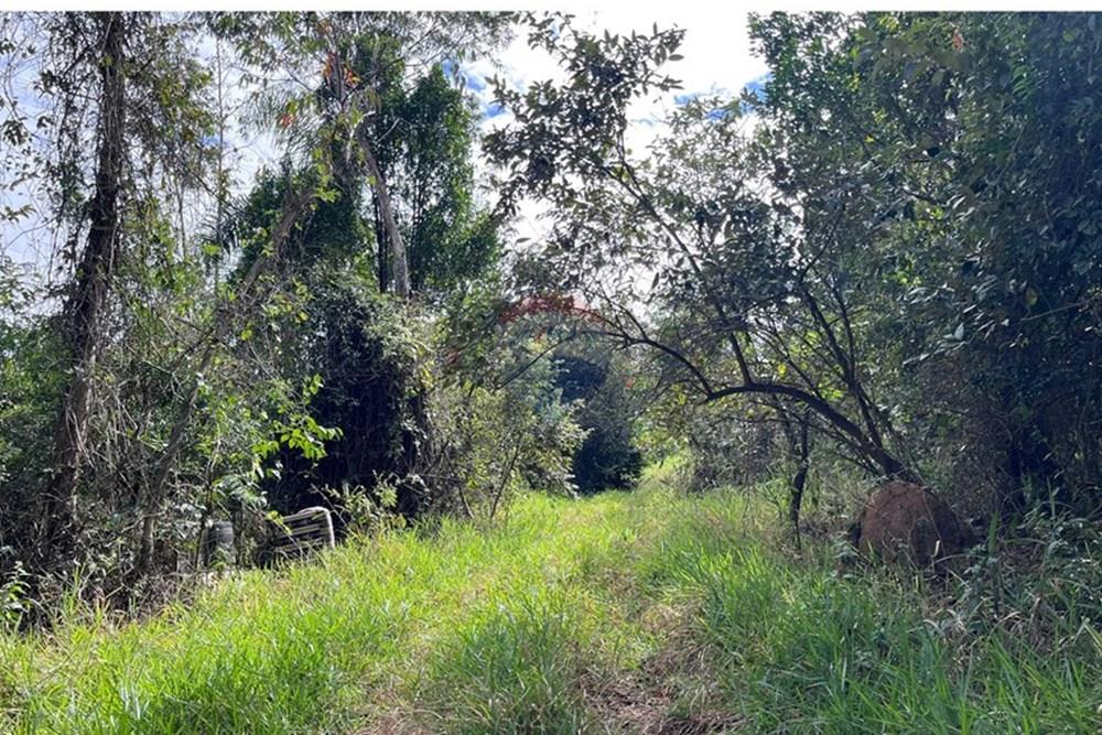 Terreno - Venda - Cabreúva , São Paulo - foto 8.jpg - 630531013-11