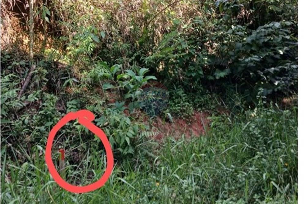 Terreno - Venda - Mairiporã , São Paulo - piquete demarc lote.jpeg - 631361025-34