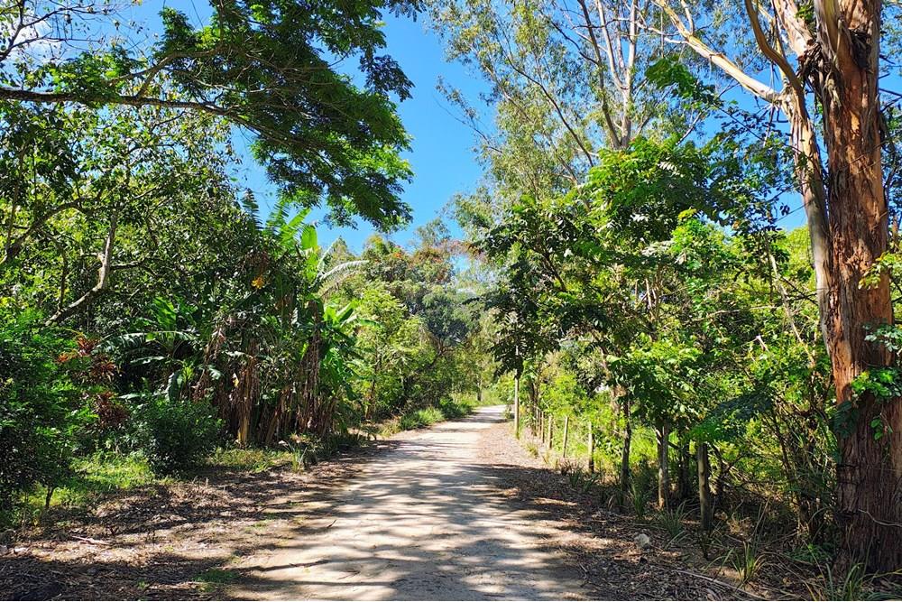Outros - Alugar - Rio de Janeiro , Rio de Janeiro - IMG_20251110_140528456_HDR_AE.jpg - 630121005-376