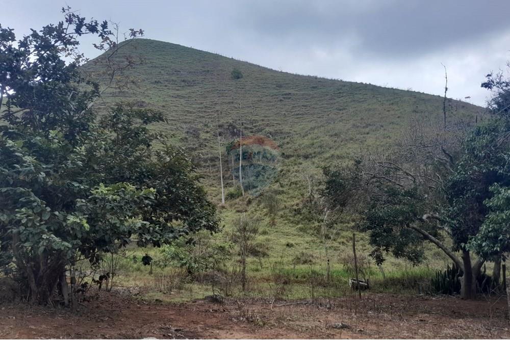 Agro - Venda - Santa Maria Madalena , Rio de Janeiro - WhatsApp Image 2025-05-29 at 13.32.50 (1).jpeg - 630171007-50