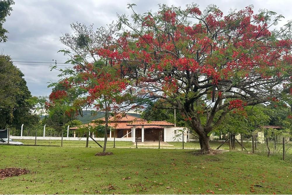 Chácara / Sítio / Fazenda - Alugar - Salto de Pirapora , São Paulo - WhatsApp Image 2024-10-21 at 23.26.27 (2).jpeg - 631181001-553