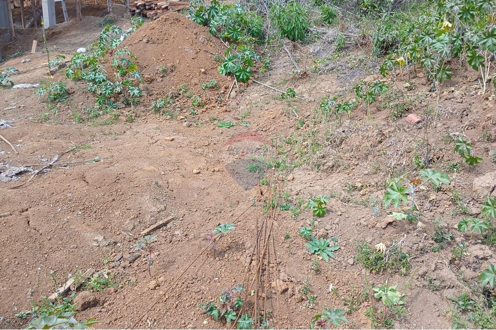 Terreno - Venda - Nova Friburgo , Rio de Janeiro - 20250829_105922 (1).jpg - 630551084-25