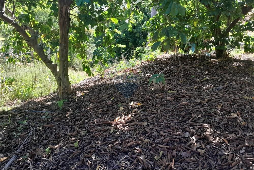 Chácara / Sítio / Fazenda - Venda - Bom Jardim , Rio de Janeiro - WhatsApp Image 2025-12-01 at 10.15.01 (1).jpeg - 630171007-64