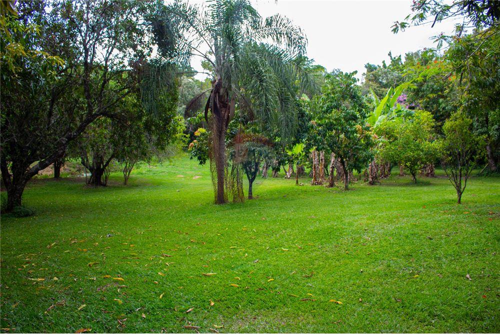 Chácara / Sítio / Fazenda - Venda - Iperó , São Paulo - BOSQUE, POMAR COM FRUTAS - 630591004-338