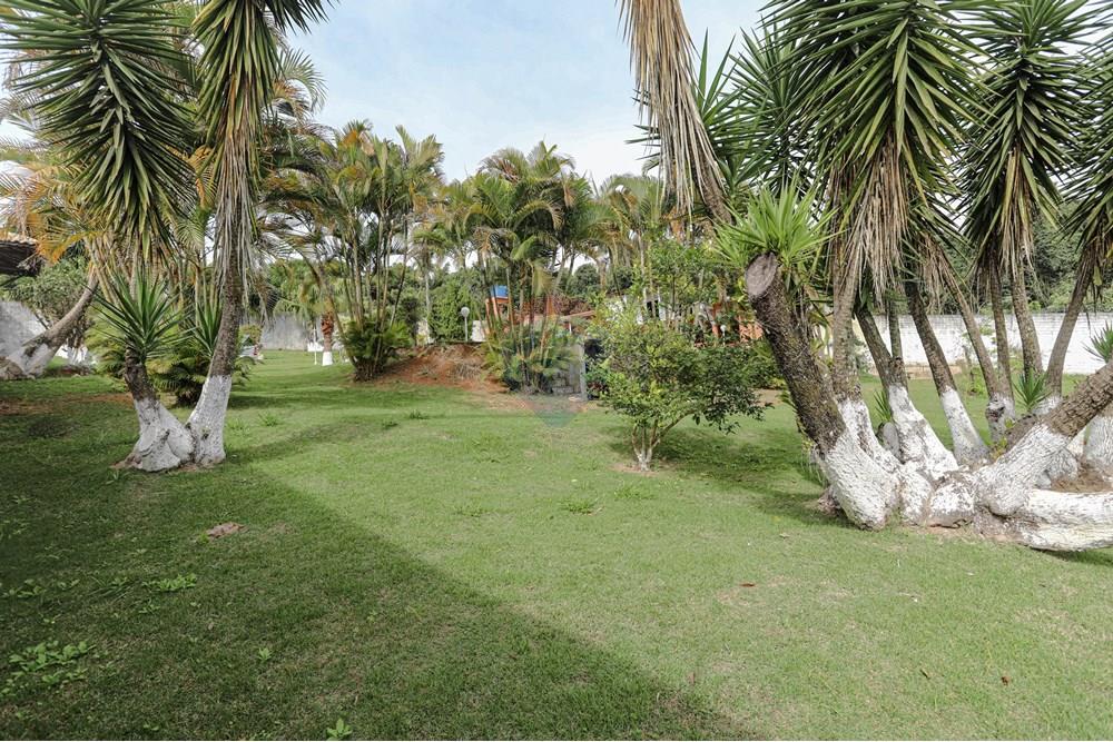 Chácara / Sítio / Fazenda - Venda - Suzano , São Paulo - Rua kiwya matsubashi 154-50.jpg - 630281090-13