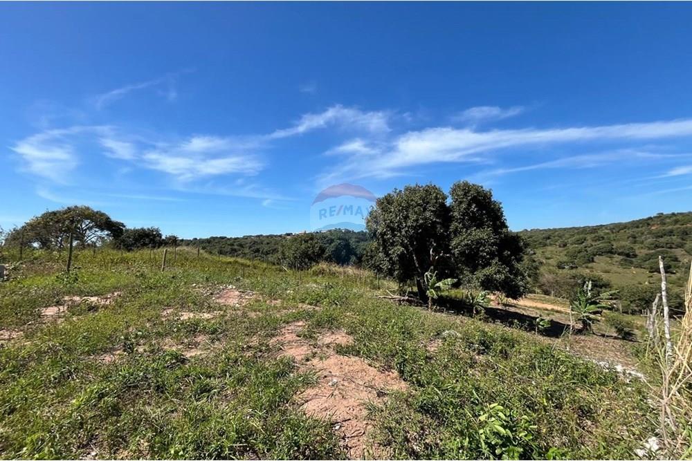 Terreno - Venda - Armação dos Búzios , Rio de Janeiro - 628b670b-da6c-494c-98f0-37182f298428.jpeg - 630391006-81