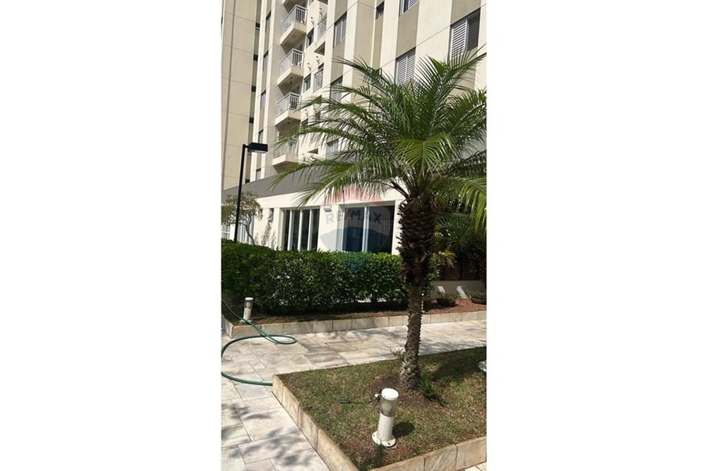 Apartamento - Alugar - Guarulhos , São Paulo - IMG-20260220-WA0149.jpg - 630251123-14