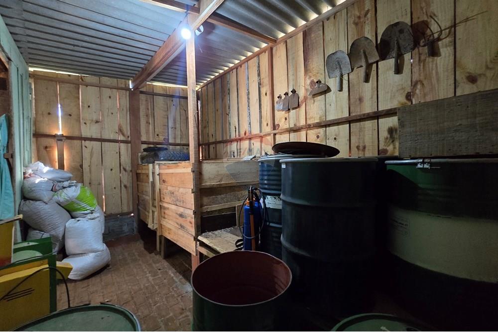 Chácara / Sítio / Fazenda - Venda - Pardinho , São Paulo - 20251127_150846.jpg - Despensa - 630481103-145