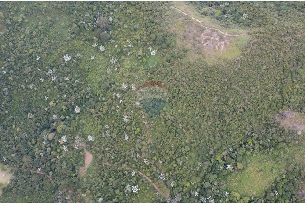 Terreno - Venda - Petrópolis , Rio de Janeiro - 7.jpg - 631611002-8