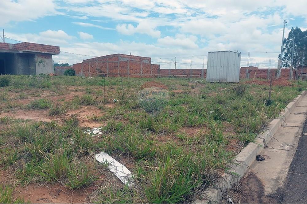 Terreno - Venda - Presidente Prudente , São Paulo - 20251027_132108.jpg - 630861066-12