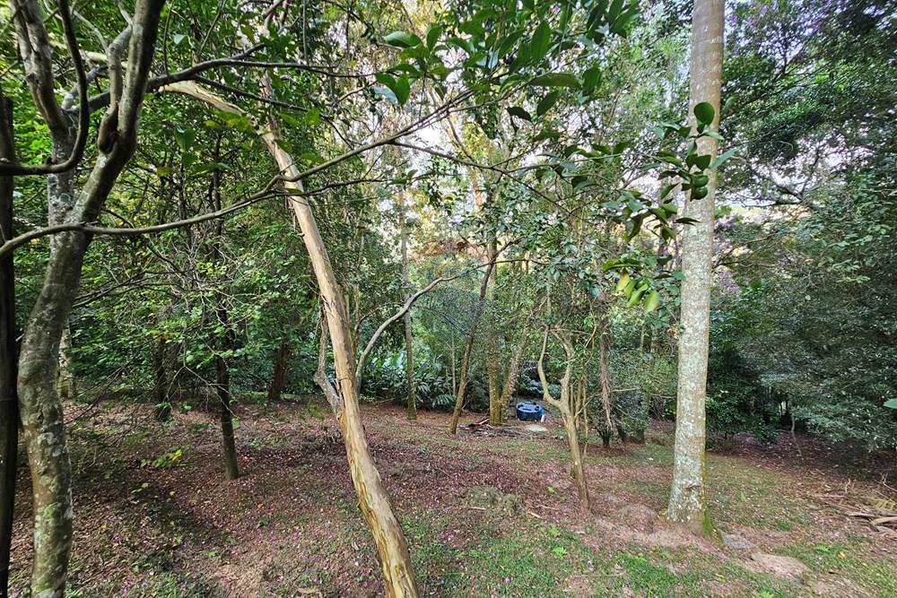 Casa - Venda - Mairiporã , São Paulo - 20260305_164433.jpg (1).jpeg - 631361054-4