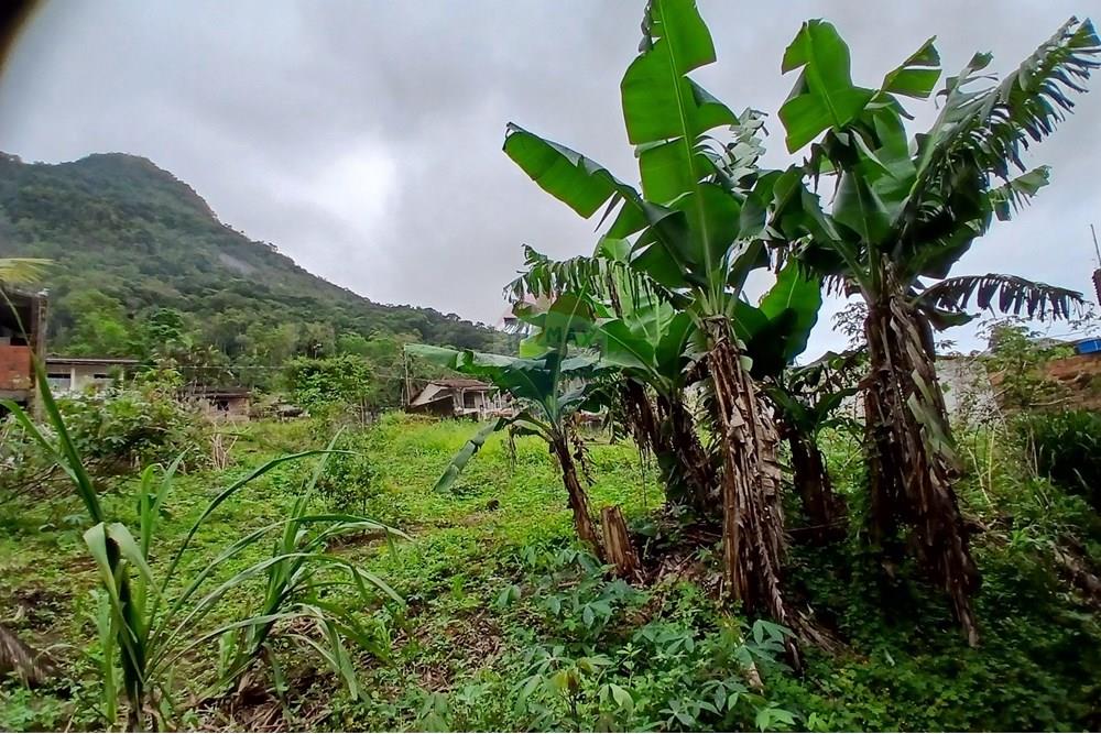 Terreno - Venda - Caraguatatuba , São Paulo - 20251009_101154.jpg - 631571013-20