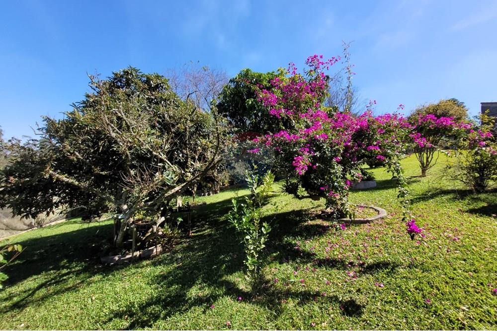 Chácara / Sítio / Fazenda - Venda - Ibiúna , São Paulo - 37.jpeg - 631331004-42