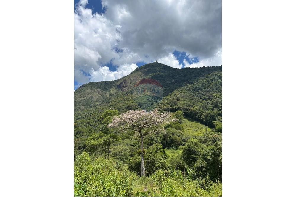 Chácara / Sítio / Fazenda - Venda - Macaé , Rio de Janeiro - 6083c0b8-48aa-4b25-8252-84a6eca8bba0 (1).jpeg - 630361003-106