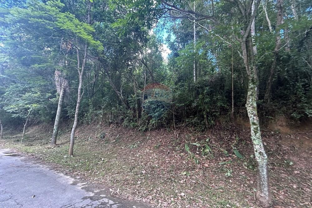 Terreno - Venda - Mairiporã , São Paulo - IMG_6217.jpeg - 631361005-193