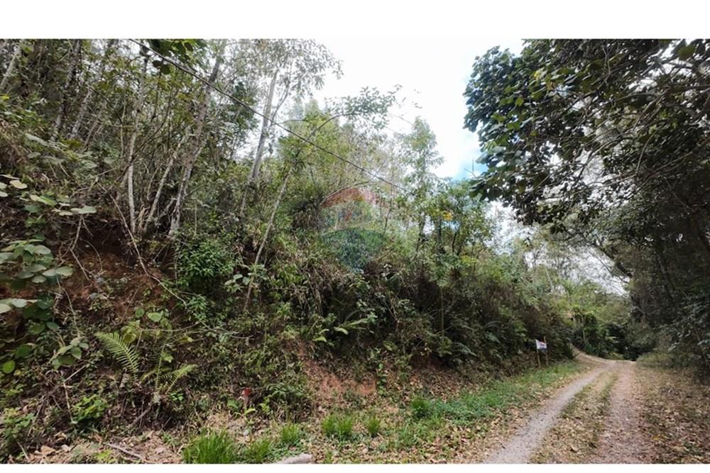 Terreno - Venda - Mairiporã , São Paulo - WhatsApp Image 2025-10-16 at 12.24.37.jpeg - 631361025-34