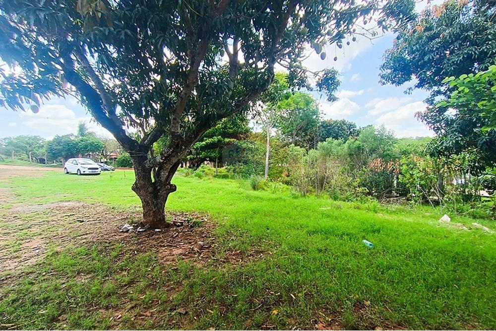 Chácara / Sítio / Fazenda - Venda - Álvares Machado , São Paulo - VALMOR  (5).jpg - 630861066-22