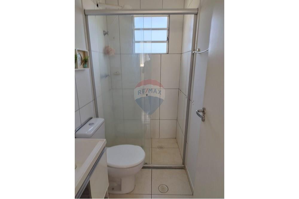 Apartamento - Alugar - Araçatuba , São Paulo - IMG-20251208-WA0105.jpg - 630541060-1