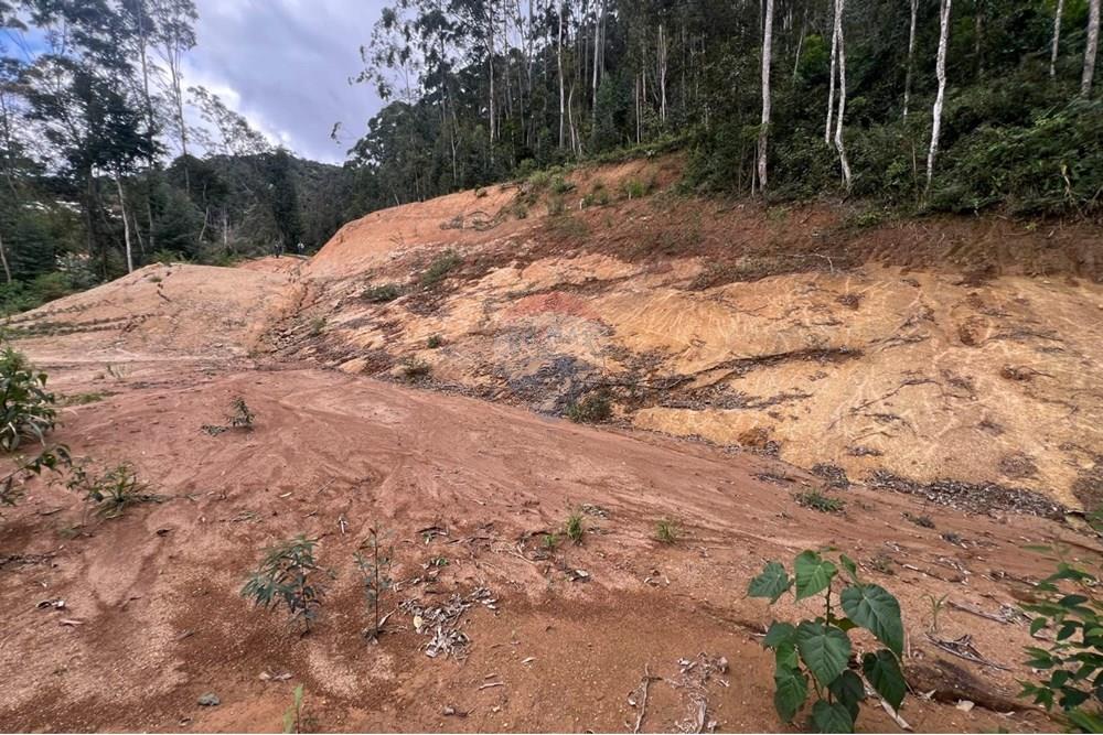 Terreno - Venda - Petrópolis , Rio de Janeiro - WhatsApp Image 2025-08-15 at 16.58.52.jpeg - 630131062-39