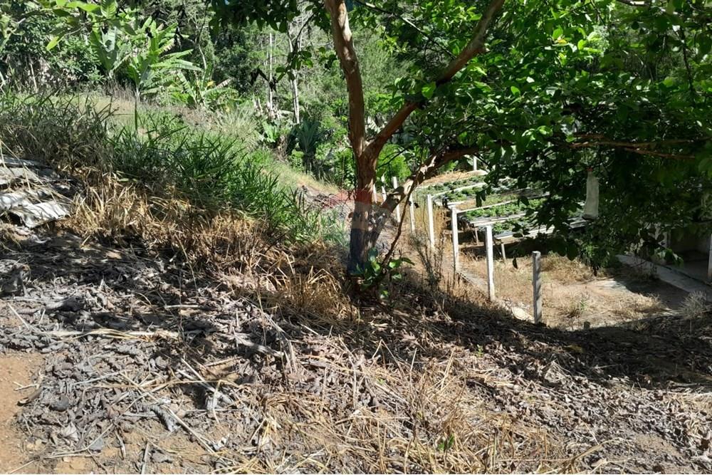 Chácara / Sítio / Fazenda - Venda - Bom Jardim , Rio de Janeiro - WhatsApp Image 2025-12-01 at 10.15.02.jpeg - 630171007-64